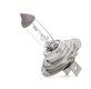 Ampoule halog ne H7