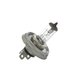 Ampoule halog ne H4
