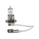 Ampoule halog ne H3