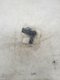 EMBOUT REFOUL.T 16