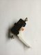 Microswitch LPR