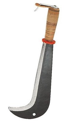 A classer - A classer - Serpe Suisse - 43cm